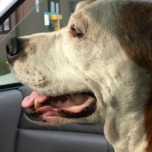 Meet your Posher, Marti